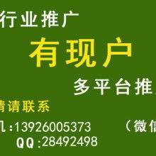 廣東百華公司 技術推廣服務的創新引領者與實踐典范