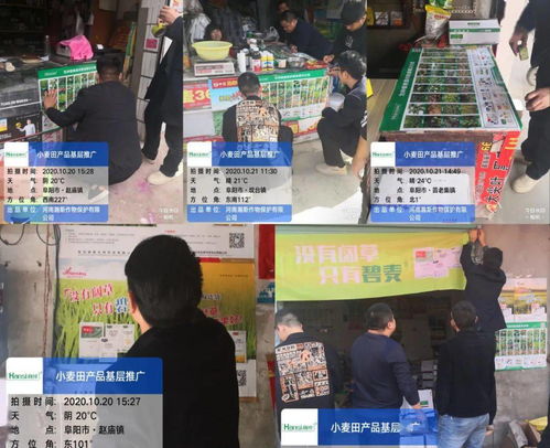精準破解麥田除草難，瀚斯專業方案阜陽獲盛贊
