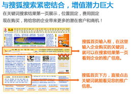 連云港網絡技術推廣與優化 信通網絡公司的全方位服務解析